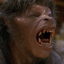 post-synchro41-american-werewolf-in-london-an-1981-004-wolf-groan.jpg